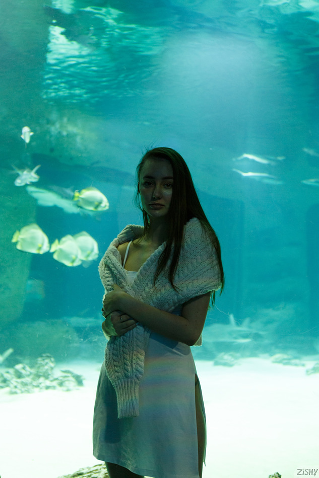 Zishy – Ira Sedina Night At The Aquarium 102 photos added Nov 29, 2024