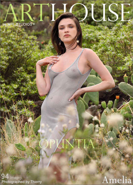 MPLStudios – Amelia – ‘Opuntia’ – 94  images -Dec 12, 2024